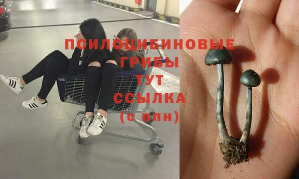 MESCALINE Михайлов