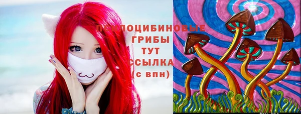 тгк Бежецк