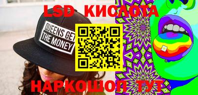 дживик Кандалакша