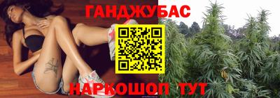 дживик Кандалакша