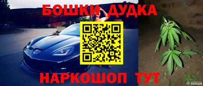 дживик Кандалакша