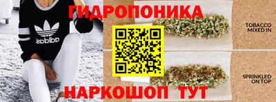 метадон Канаш