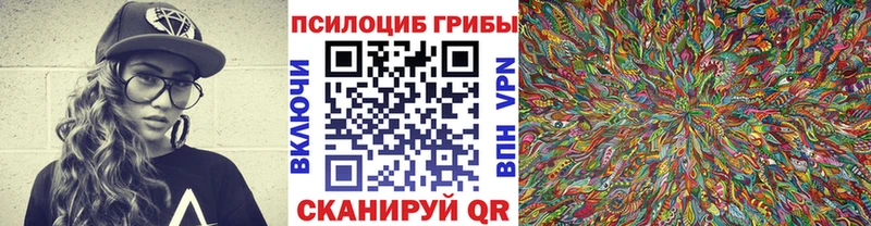 наркота  Новоалтайск  Псилоцибиновые грибы мухоморы 
