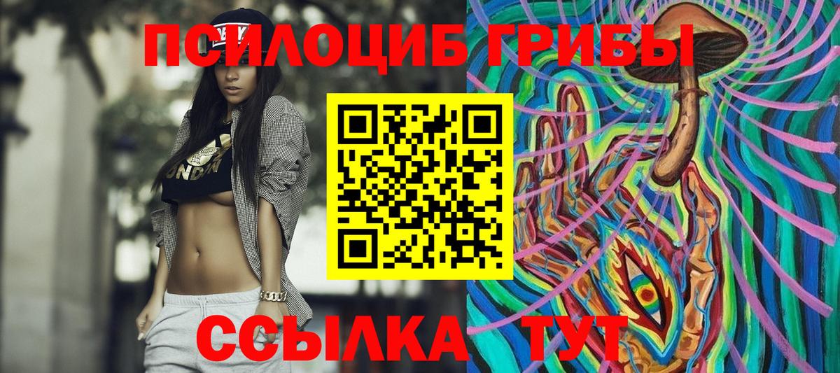 Галлюциногенные грибы Psilocybe  Вход с VPN  Псилоцибиновые грибы мицелий  Новоалтайск 