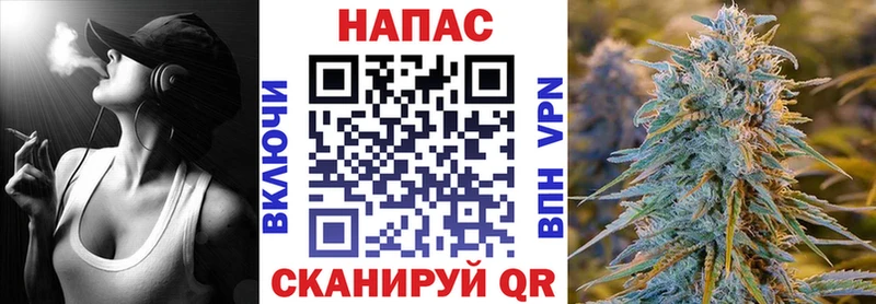 Шишки марихуана семена Новоалтайск